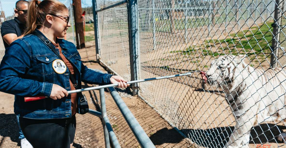 Alpine: Lions Tigers & Bears Sanctuary Visit and Feeding - Activity Details