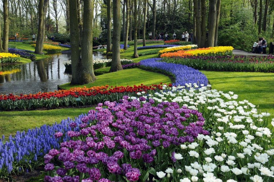 Amsterdam: Canal Cruise & Keukenhof Ticket With Shuttle Bus - Key Points