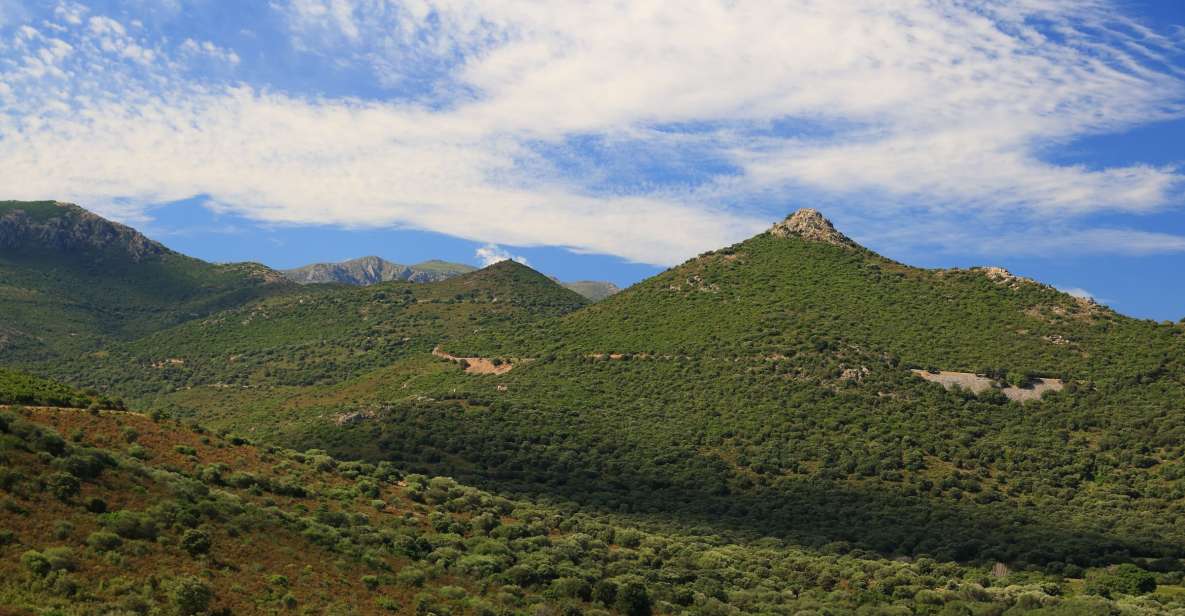 Calvi: Asco Valley 4x4 Day Tour With Guide - Key Points