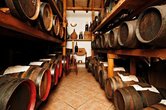 Cavedoni Balsamic Vinegar Tour: The Oldest in Modena - Key Points