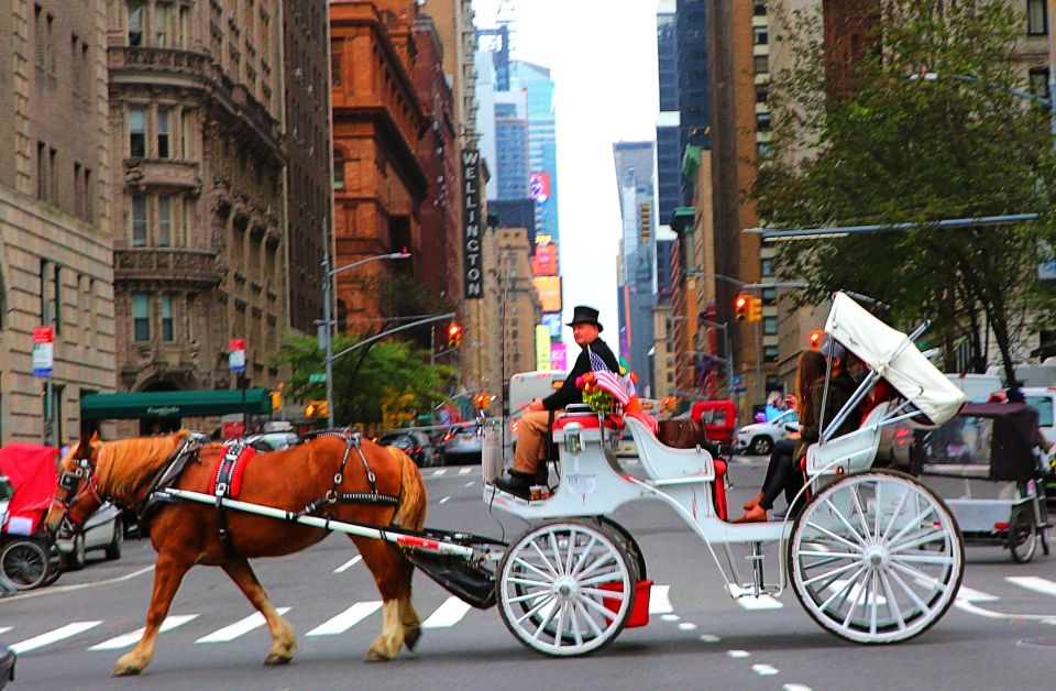 Central Park: Short Horse Carriage Ride (Up to 4 Adults) - Experience Details