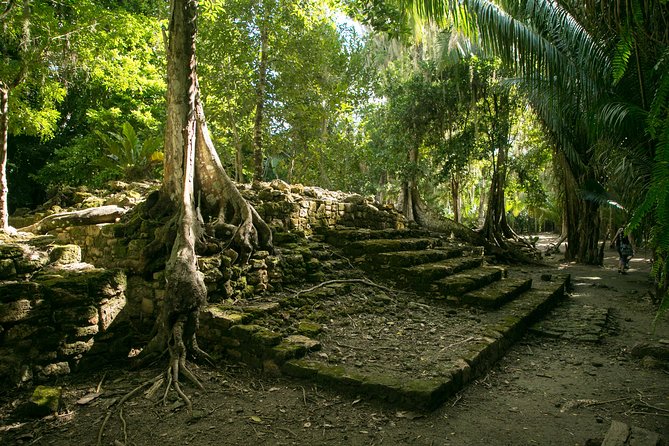 Costa Maya Shore Excursion: Chacchoben Day Trip - Key Points