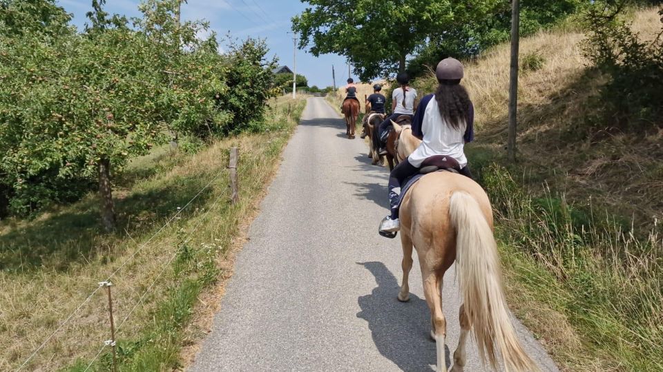 Cruseilles: Horseback Riding in the Countryside - Key Points