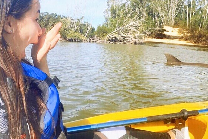 Dolphin & Manatee Kayaking Tour in Orlando Area - Key Points