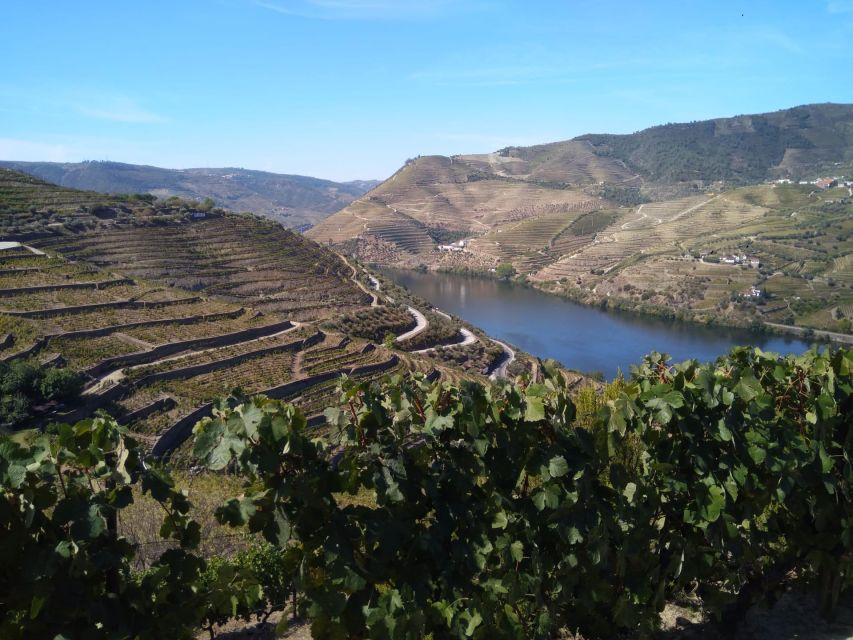Douro Valley & Amarante - From Porto or Guimarães - Key Points