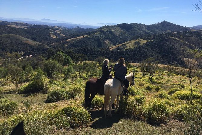 Exclusive Horse Experience With Pic-Nic at Belvedere - Key Points