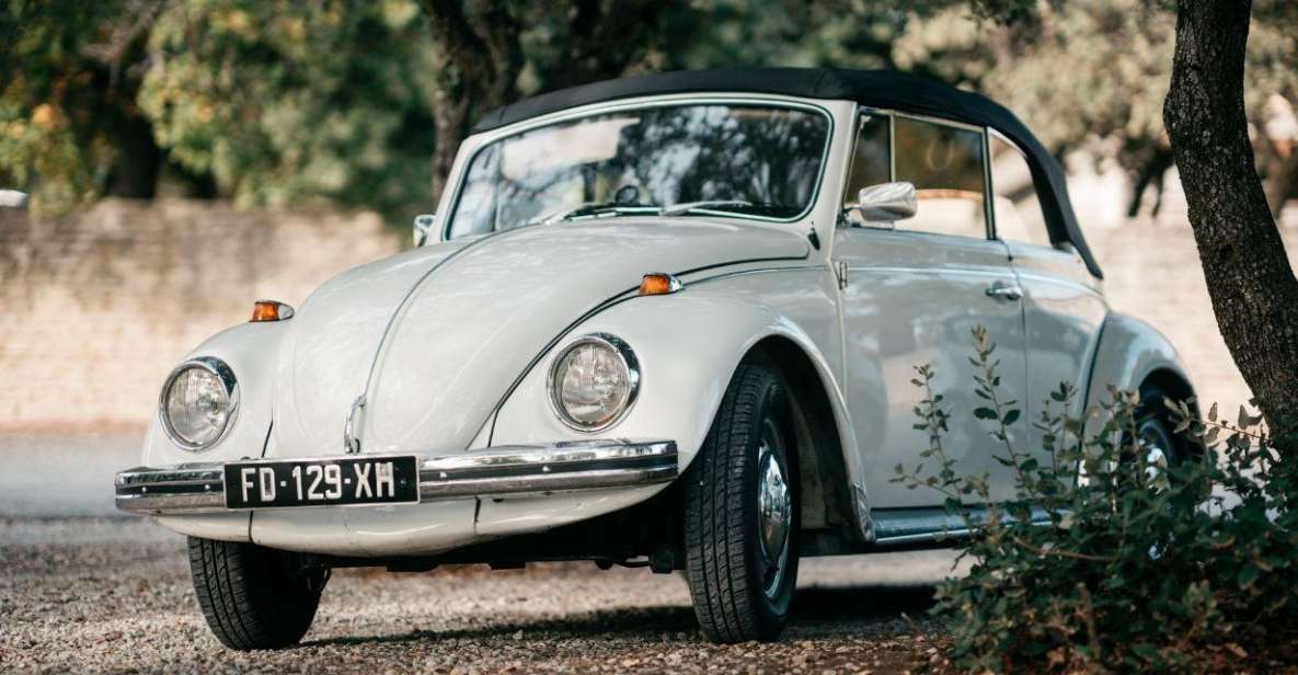 Explore Provence in a Beetle! - Key Points