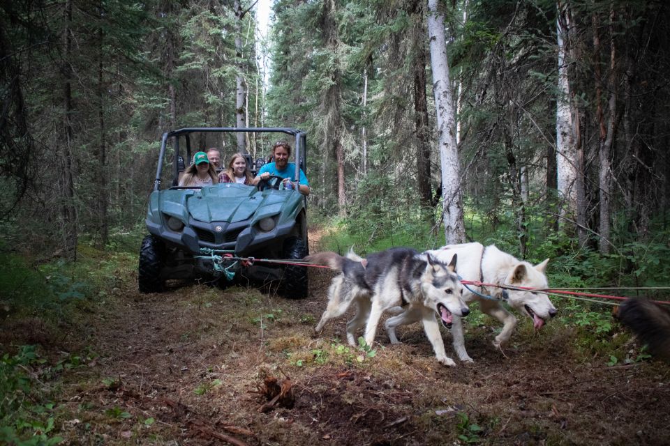 Fairbanks: Summer Mushing Cart Ride and Kennel Tour - Activity Details