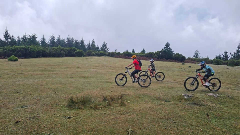 Family Bike Holiday - Madeira Mountain Bike - Key Points