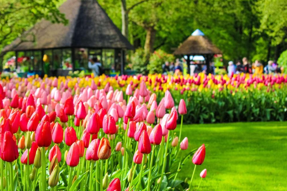 Fast Track Keukenhof Gardens From Amsterdam by Private Car - Key Points