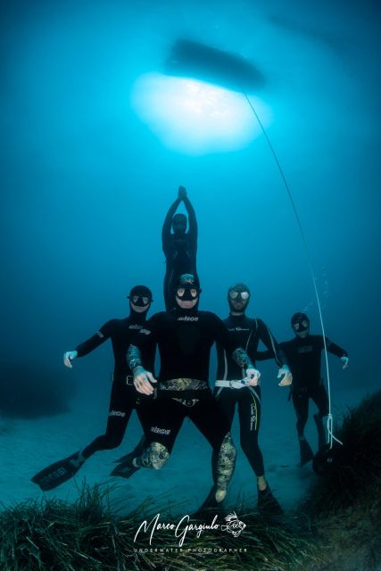 Freediving in the Wild of the Amalfi Coast/Capri/Sorrento: - Key Points