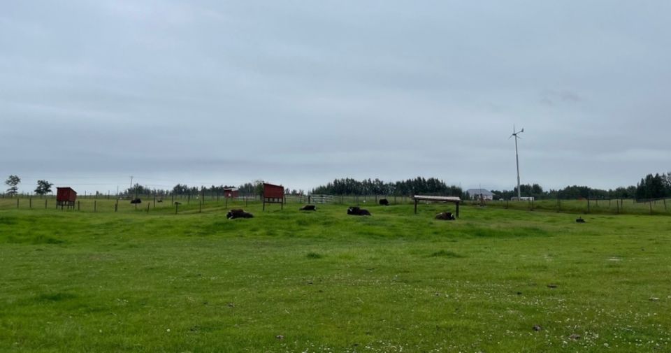 From Anchorage: Scenic Drive and Guided Musk Ox Farm Tour - Tour Details