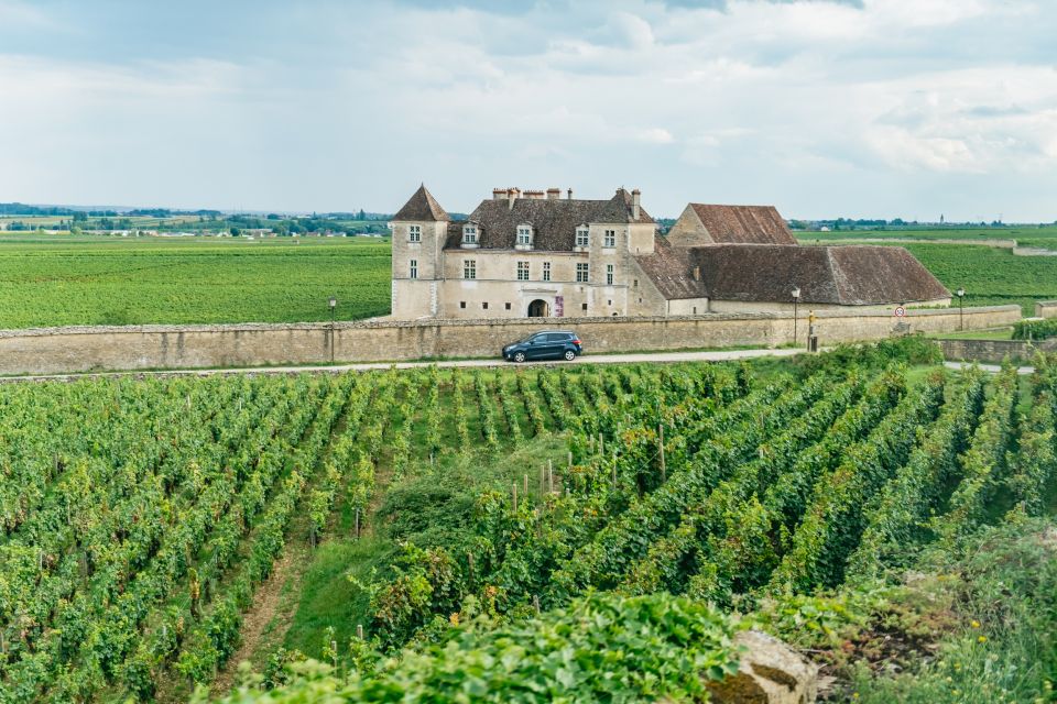 From Beaune: Burgundy Day Trip With 12 Wine Tastings - Key Points