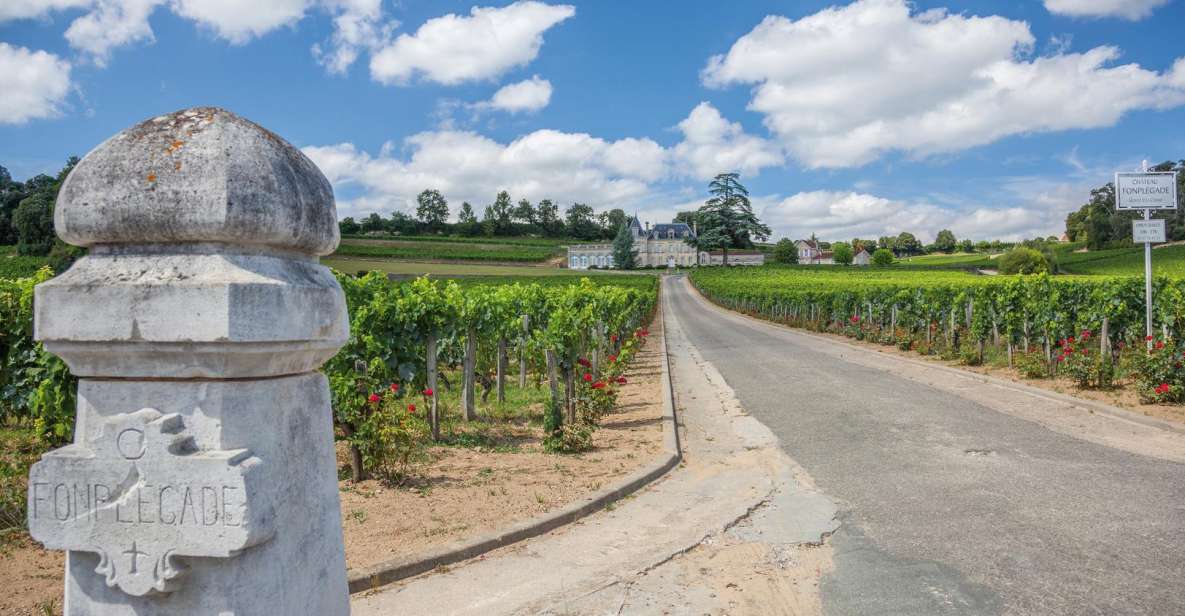 From Bordeaux: Full-Day St Emilion Wine Tasting Tour - Key Points