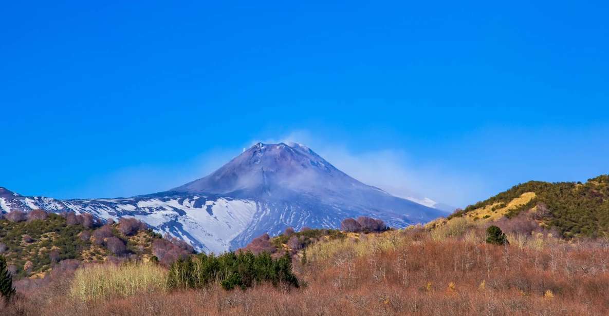 From Catania/Taormina: Mount Etna Private Wine Tasting Tour - Key Points