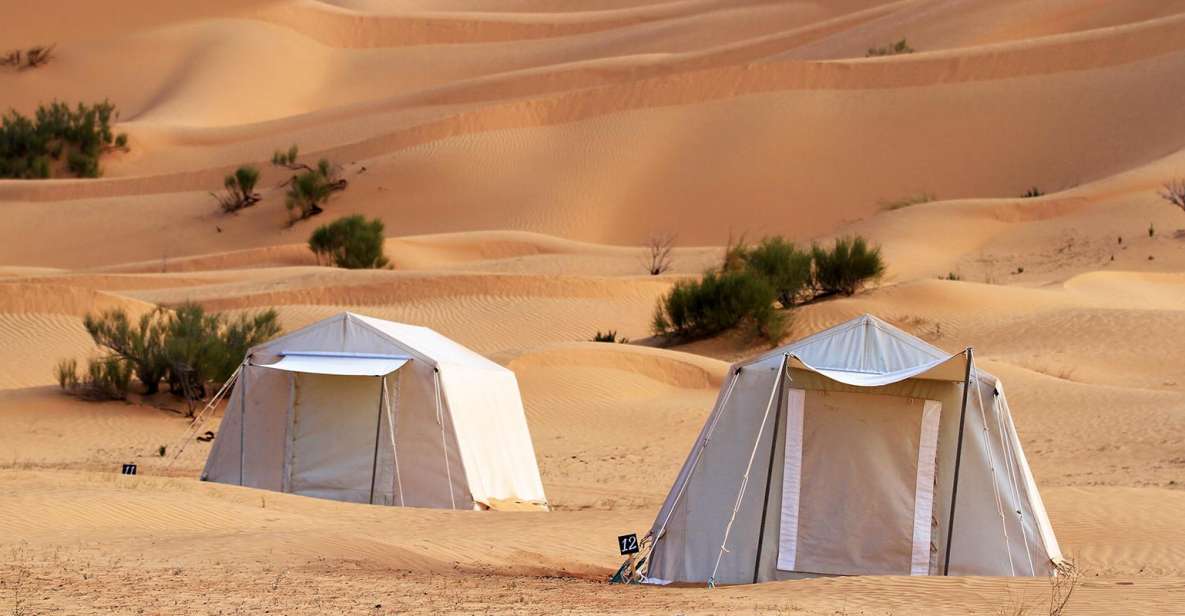 From Douz: Overnight Safari in Tunisian Sahara Desert - Key Points