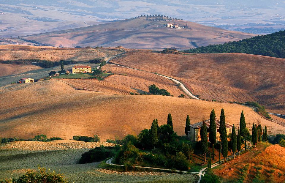From Florence: Val D'Orcia Full-Day Wine Tasting Tour - Key Points