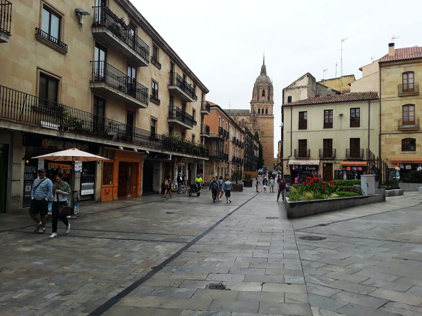 From Madrid: Day Trip to Salamanca With Private Tour - Tour Details