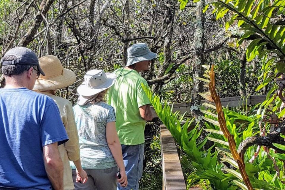 From Naples: 10,000 Islands Boat Trip and Everglades Walk - Experience the Everglades on Water