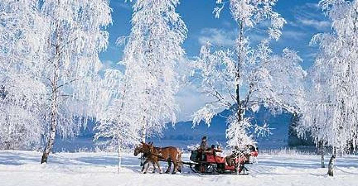 From Salzburg: Romantic Sleigh Ride Through the Countryside - Key Points