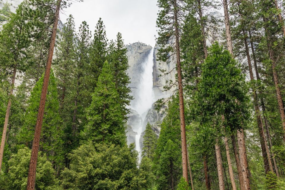 From San Francisco: Yosemite National Park Guided Day Trip - Key Points