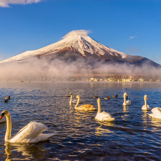 From Tokyo: Mount Fuji and Hakone Private Day Trip - Key Points