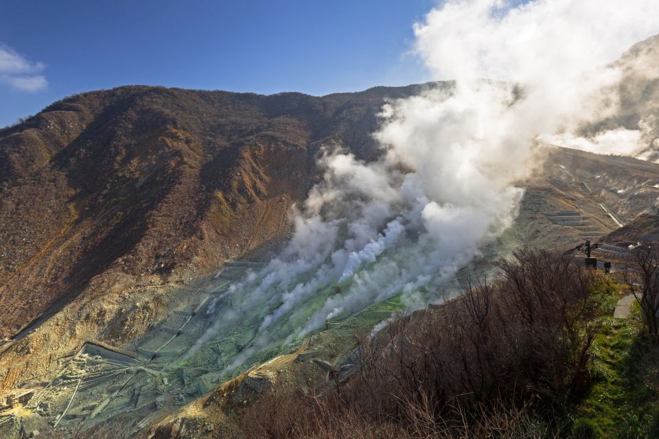 From Tokyo: Private Day Trip to Hakone With Lake Ashi Cruise - Key Points