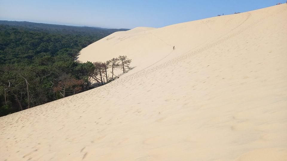 Full Day Dune of Pilat, Arcachon, Oysters Tasting Include ! - Key Points