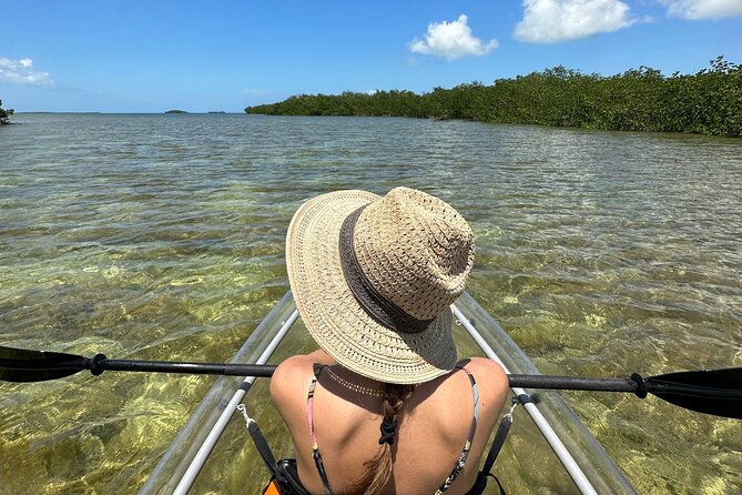 Guided Clear Kayak Eco-Tour Near Key West - Key Points