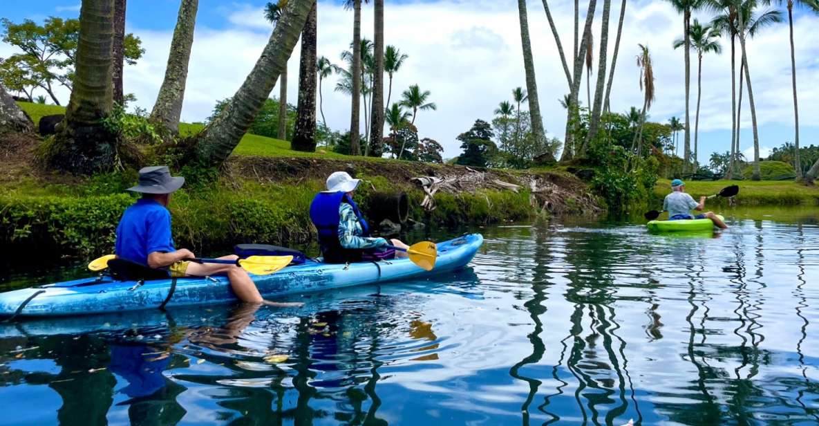 Hilo: Wailoa River to King Kamehameha Guided Kayaking Tour - Tour Details