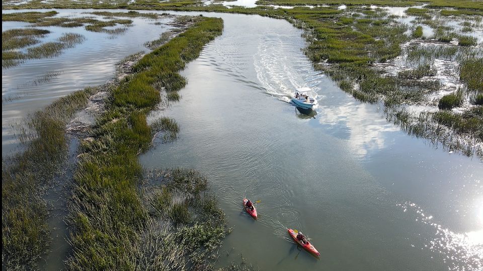 Hilton Head: Calibogue Sound Private Dolphin Boat Charter - Key Points