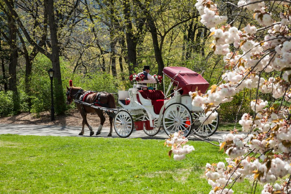 Horse and Carriage Rides Central Park - Activity Details