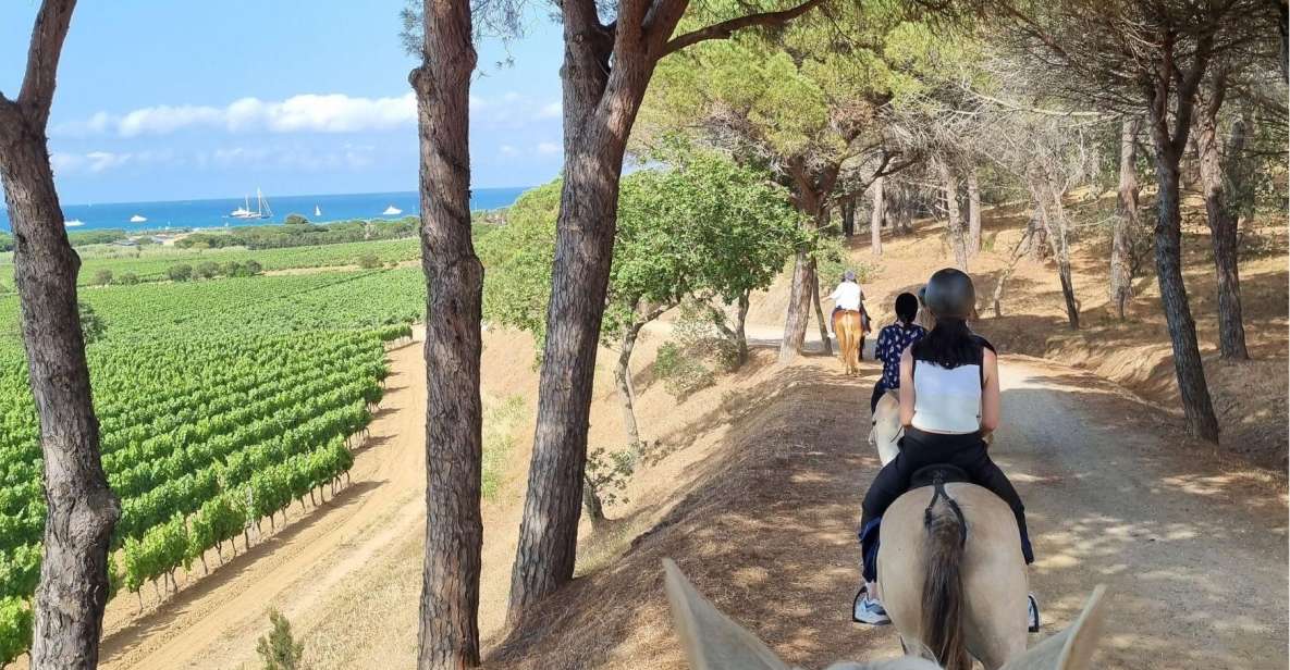 Horse Back Riding + Wine Tasting in Ramatuelle - Key Points