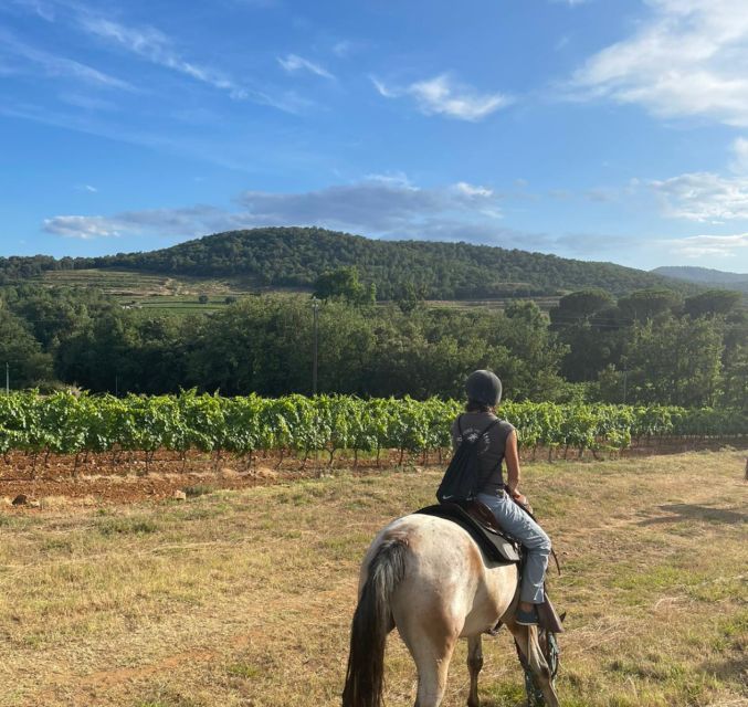 Horse Back Riding + Wine Tasting in the Maures Forest - Key Points