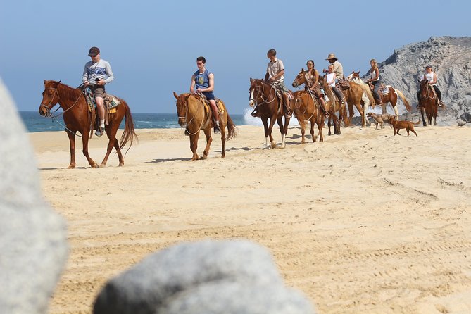 Horseback Riding Tour in Cabo San Lucas - Key Points