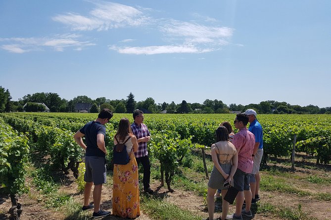 Loire Valley Half Day Wine Tour From Tours : Vouvray Wine Tasting - Key Points