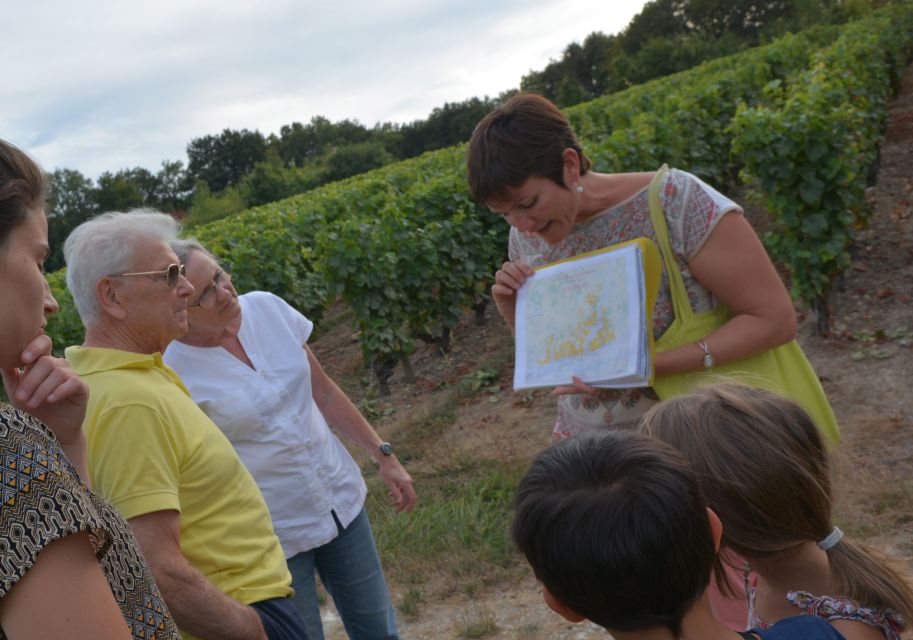 Loire Valley: Vouvray Vineyard Tour and Wine Tasting - Key Points
