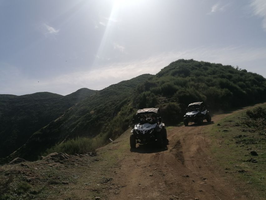 Madeira: Half-Day Off-Road Buggy Tour - Key Points