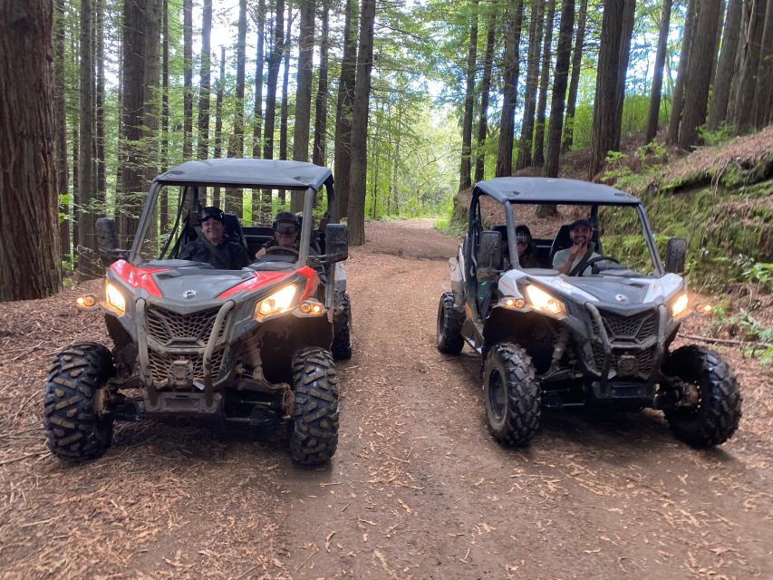 Madeira: Private Off-Road Buggy Driving Experience - Key Points