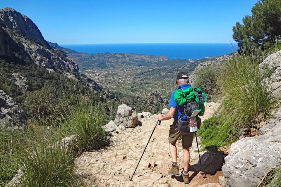 Mallorca Sòller Walking & Picnic Tour (Palma-Magaluf-Sòller) - Key Points