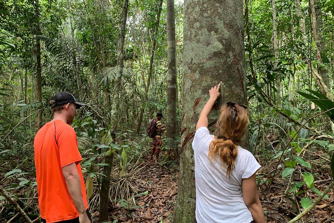 Manaus Small-Group Full-Day Jungle Tour - Key Points