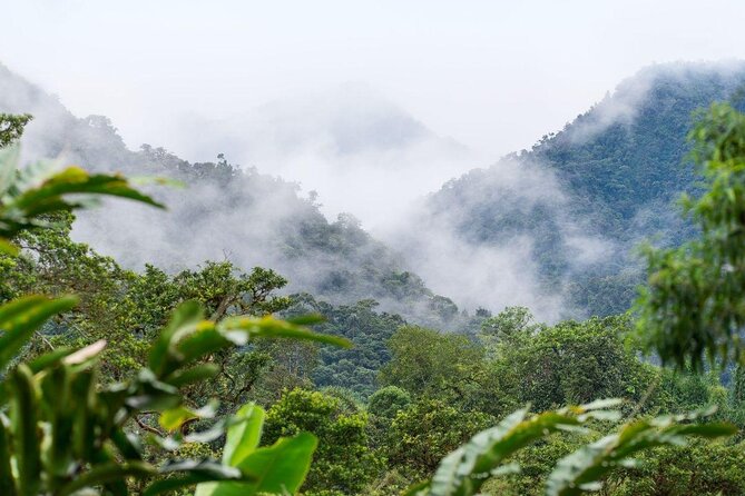 Mindo Cloud Forest Private Day Tour - Key Points