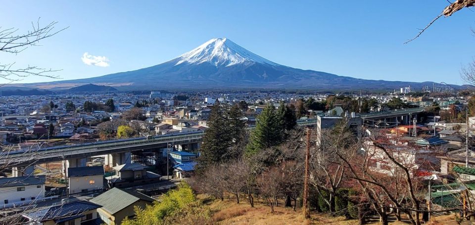 Mt Fuji and Hakone Private Tour With English Speaking Driver - Key Points