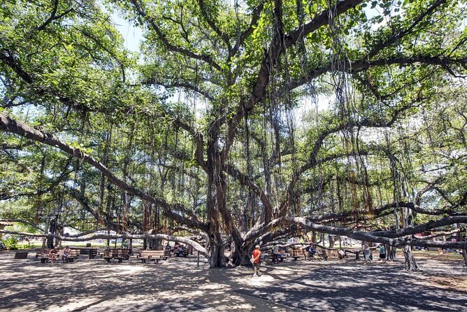 Mystery Puzzle Food Tour in Lahaina for 2 People - Key Points