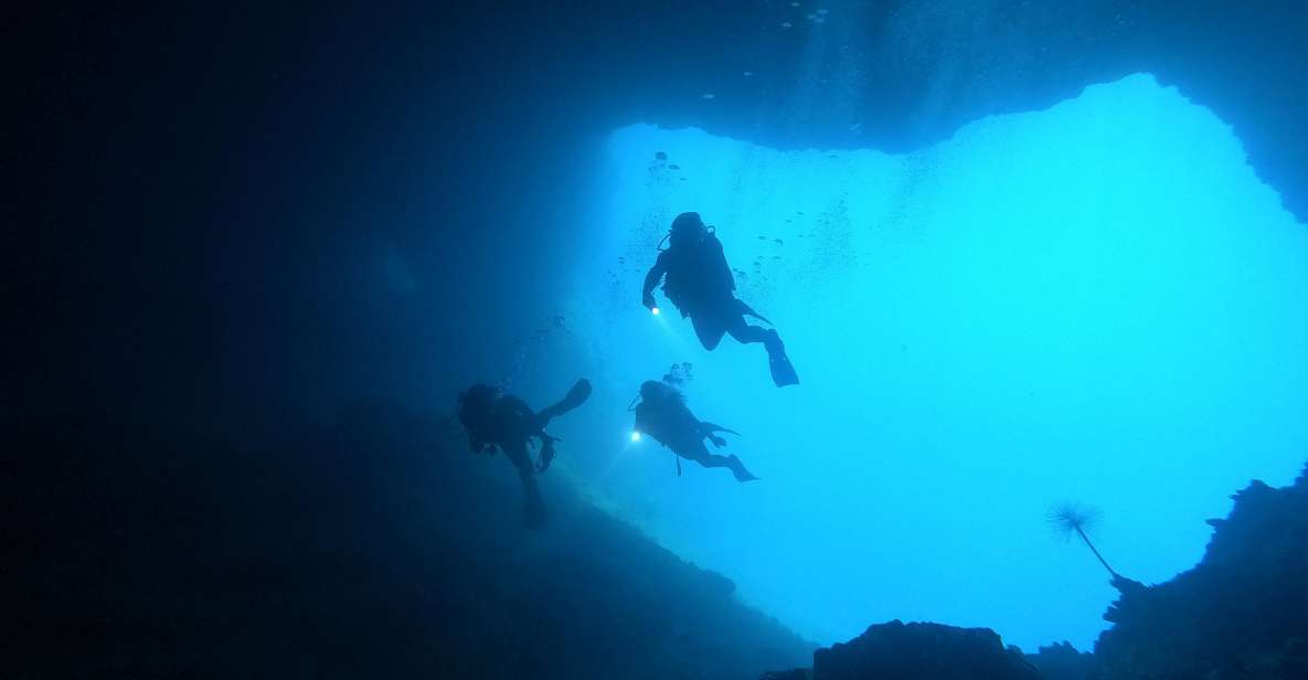 Naxos: Discover Scuba Dive With Nima Dive Center - Key Points