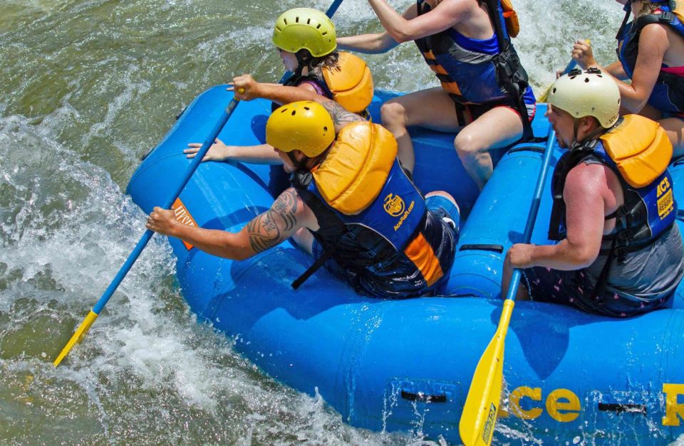 New River Gorge Whitewater Rafting - Lower New Full Day - Activity Overview