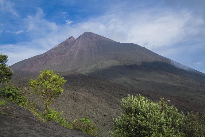 Pacaya Volcano Day Trip From Guatemala City - Visitor Reviews