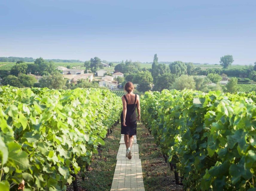 Paris: Discover the Cellars in the Countryside in Champagne - Key Points