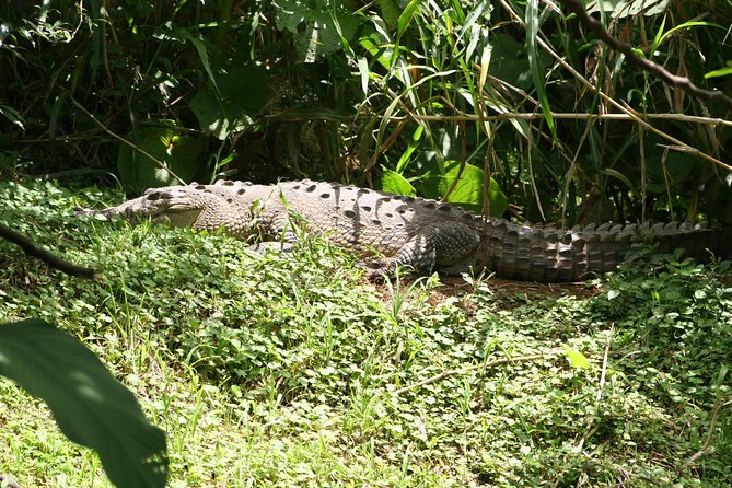 Peñas Blancas River Safari Float - Key Points