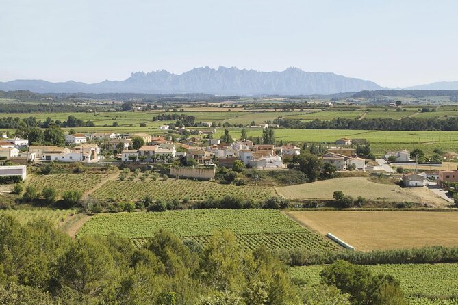 Penedes Tour: 3 Wineries With Tasting Small Group From Barcelona - Key Points
